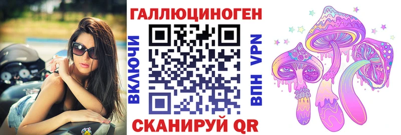 omg как войти площадка как зайти Псилоцибиновые грибы MAGIC MUSHROOMS Елец